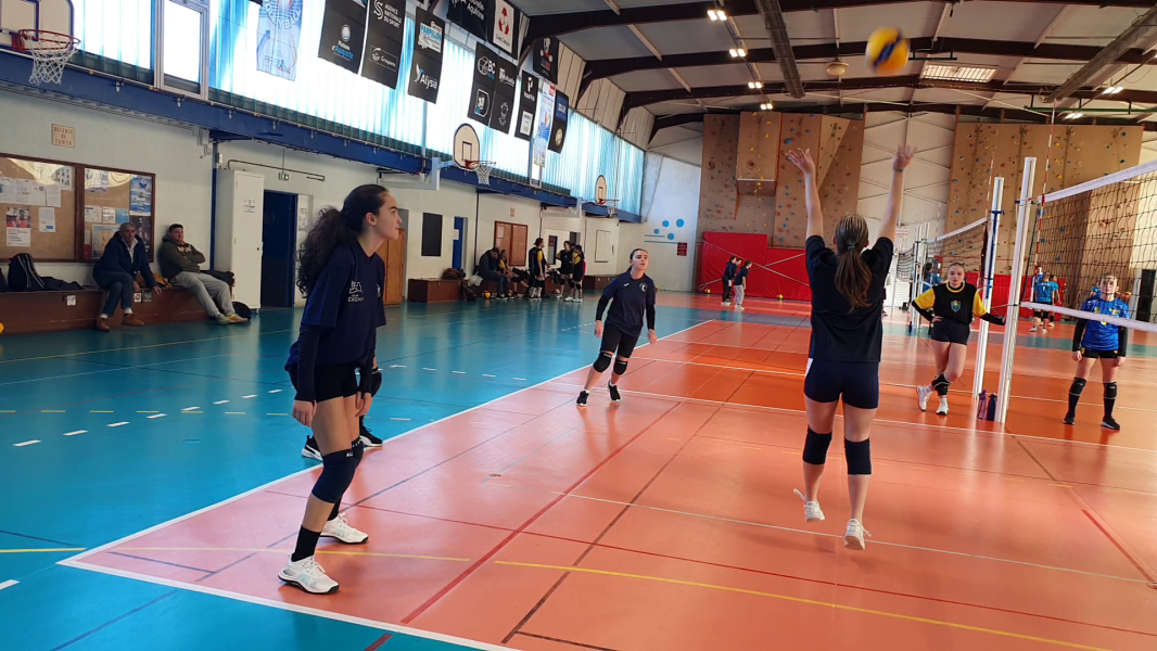 vlcsnap-2024-01-22-15h01m18s339